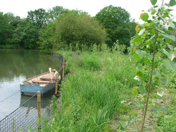 Images2520July2520102520001