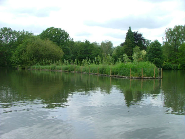 Images2520July2520102520006